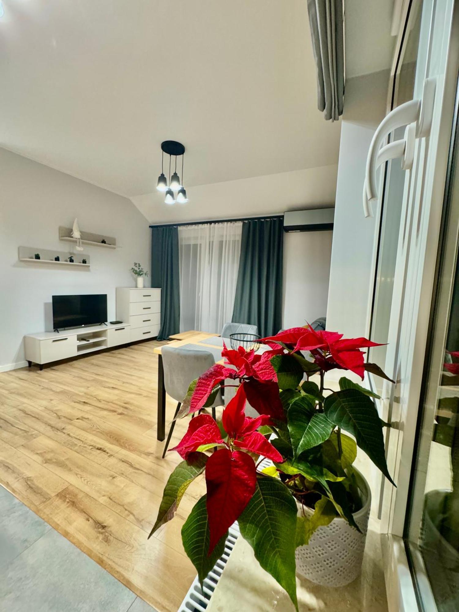 Apartament Olenka Busko Zdroj Luaran gambar